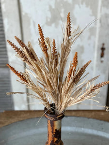Fall Millet Grass Bush Stem