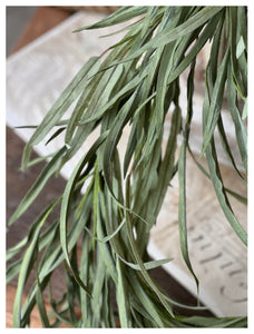 Green Grass Serene Shoals Garland 5' | Vintage Character