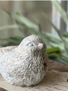 Concrete Rustic Wren Watchful Bird | Vintage Character