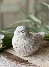 Load image into Gallery viewer, Concrete Rustic Wren Watchful Bird | Vintage Character