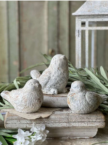 Concrete Rustic Wren Perched Bird | Vintage Character