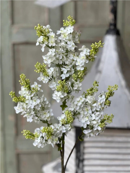 Chiffon Spires Cream Spray | Vintage Character