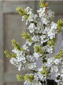 Chiffon Spires Cream Spray | Vintage Character