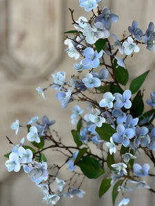 Canterbury Blue Mist Hydrangea Spray | Vintage Character