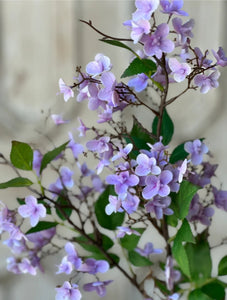Canterbury Lilac Purple Hydrangea Spray