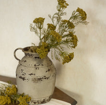 Load image into Gallery viewer, Green Queen Anne Lace Stem