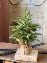 Load image into Gallery viewer, Christmas Shetland Spruce Tree 20&quot;