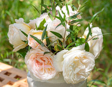 Load image into Gallery viewer, Top Cream Rose ~ Bloomables
