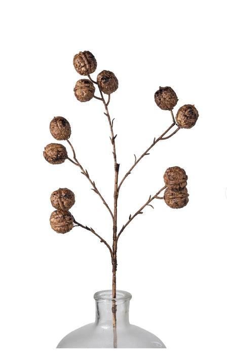 Walnut Stem 25