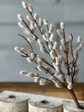 Load image into Gallery viewer, Willow Bud Stem