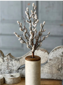 Willow Bud Stem