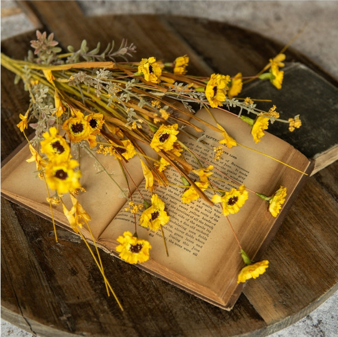 Yellow Daisy Bush ~22