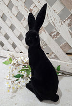 Load image into Gallery viewer, Black Velvet Bunny ~ Side Stance