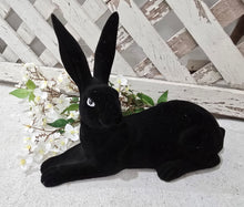 Load image into Gallery viewer, Black Velvet Bunny ~ Laying