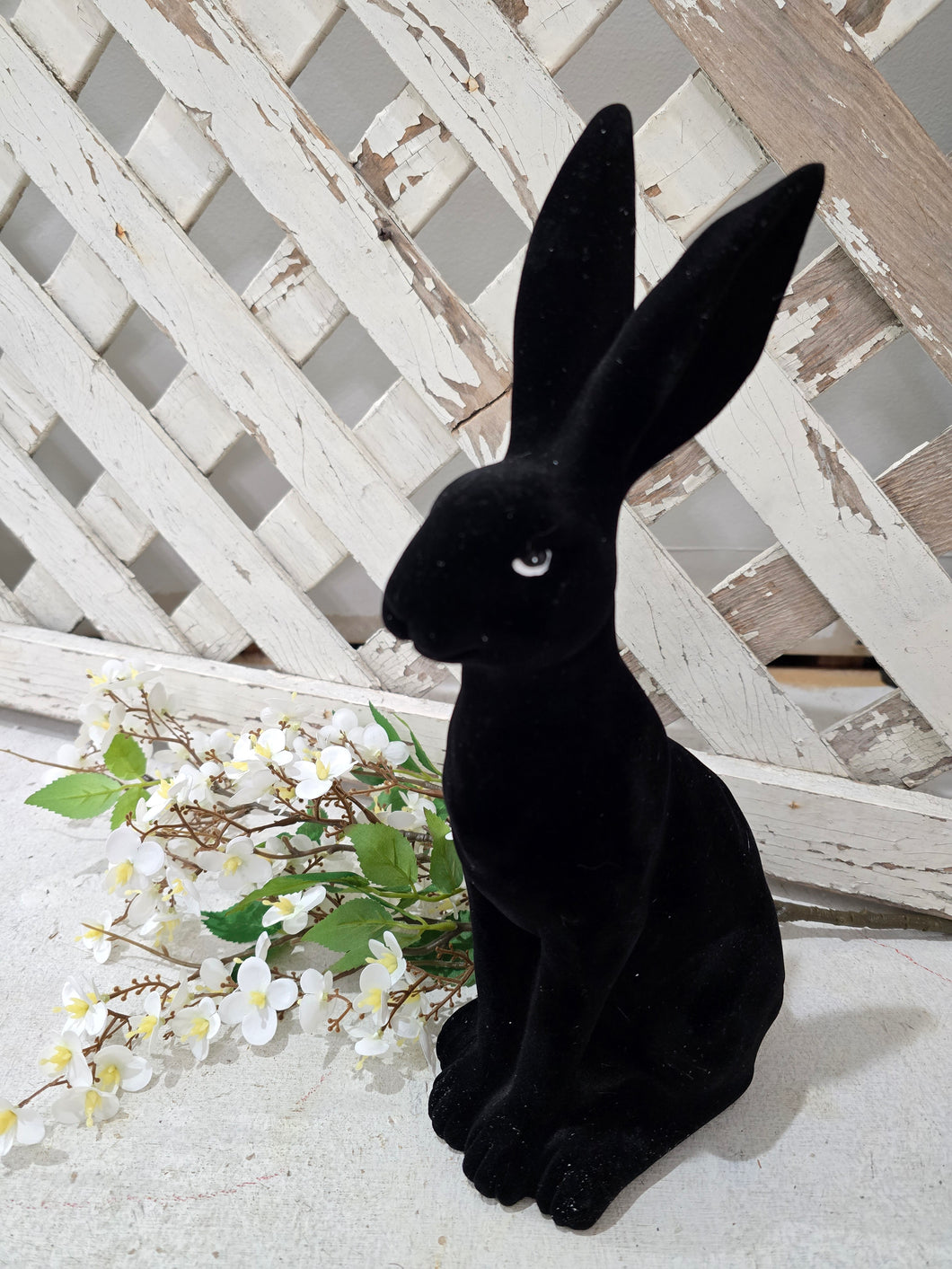Black Velvet Bunny ~ Standing