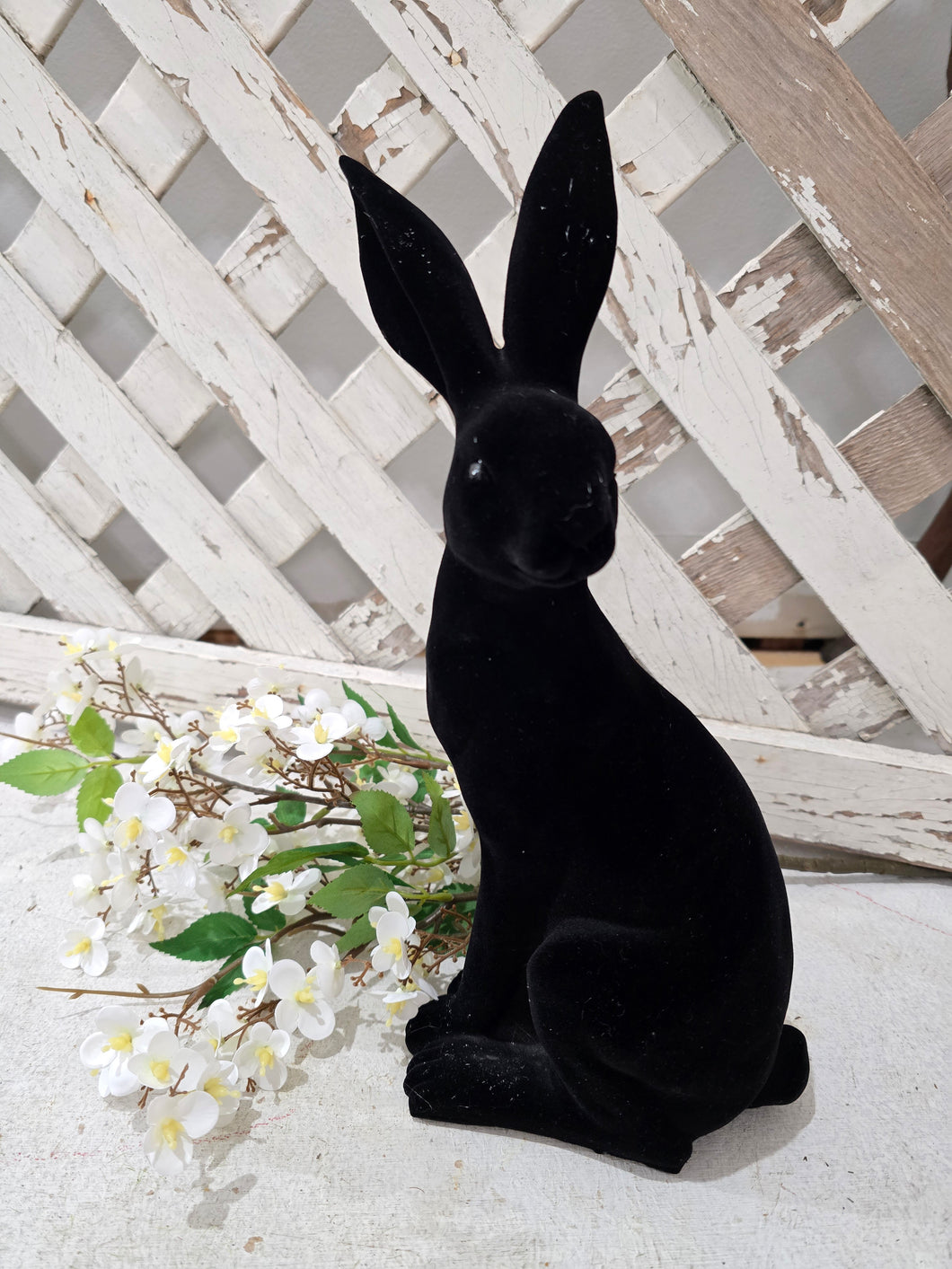 Black Velvet Bunny ~ Side Stance