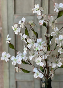 Day Drift White Dogwood Stem Bundle