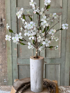 Day Drift White Dogwood Stem Bundle