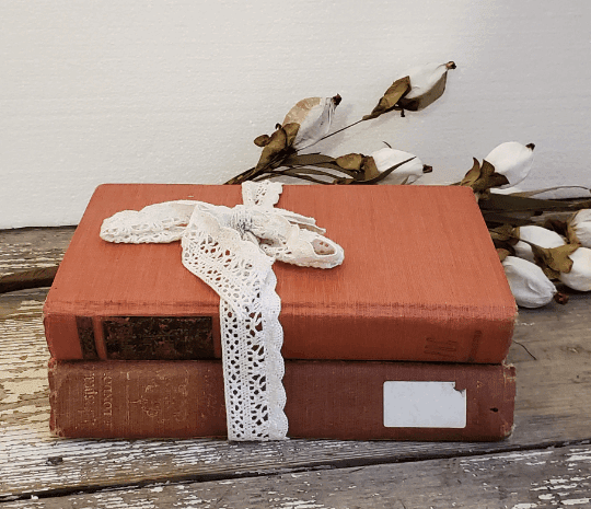 Antique Lot of Books | Vintage Character