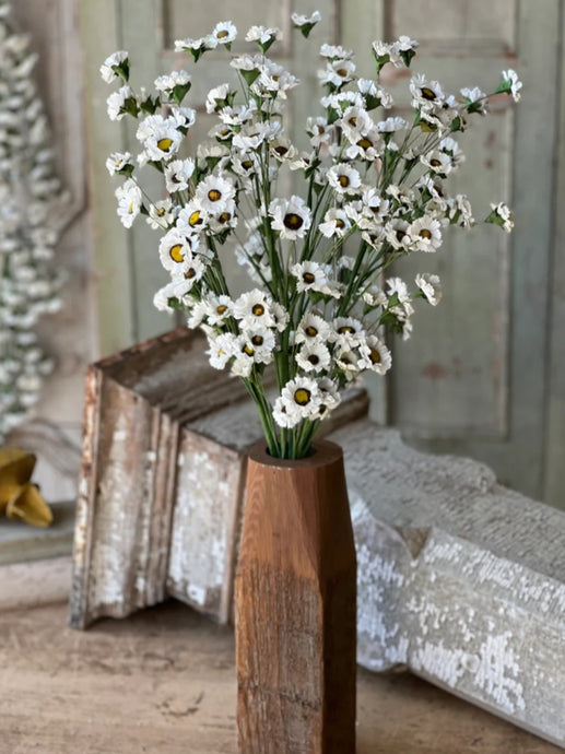 Fairchild Daisy Stem Bundle