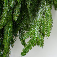 Load image into Gallery viewer, 24&quot; Christmas Frosted Norfolk Pine Wreath