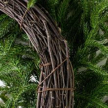 Load image into Gallery viewer, 24&quot; Christmas Frosted Norfolk Pine Wreath