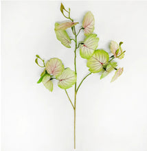 Load image into Gallery viewer, Faux Meadow Vine ~ Blush