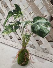 Load image into Gallery viewer, Faux Monstera Moss Ball Plant