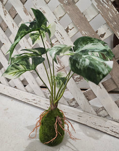 Faux Monstera Moss Ball Plant