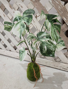 Faux Monstera Moss Ball Plant