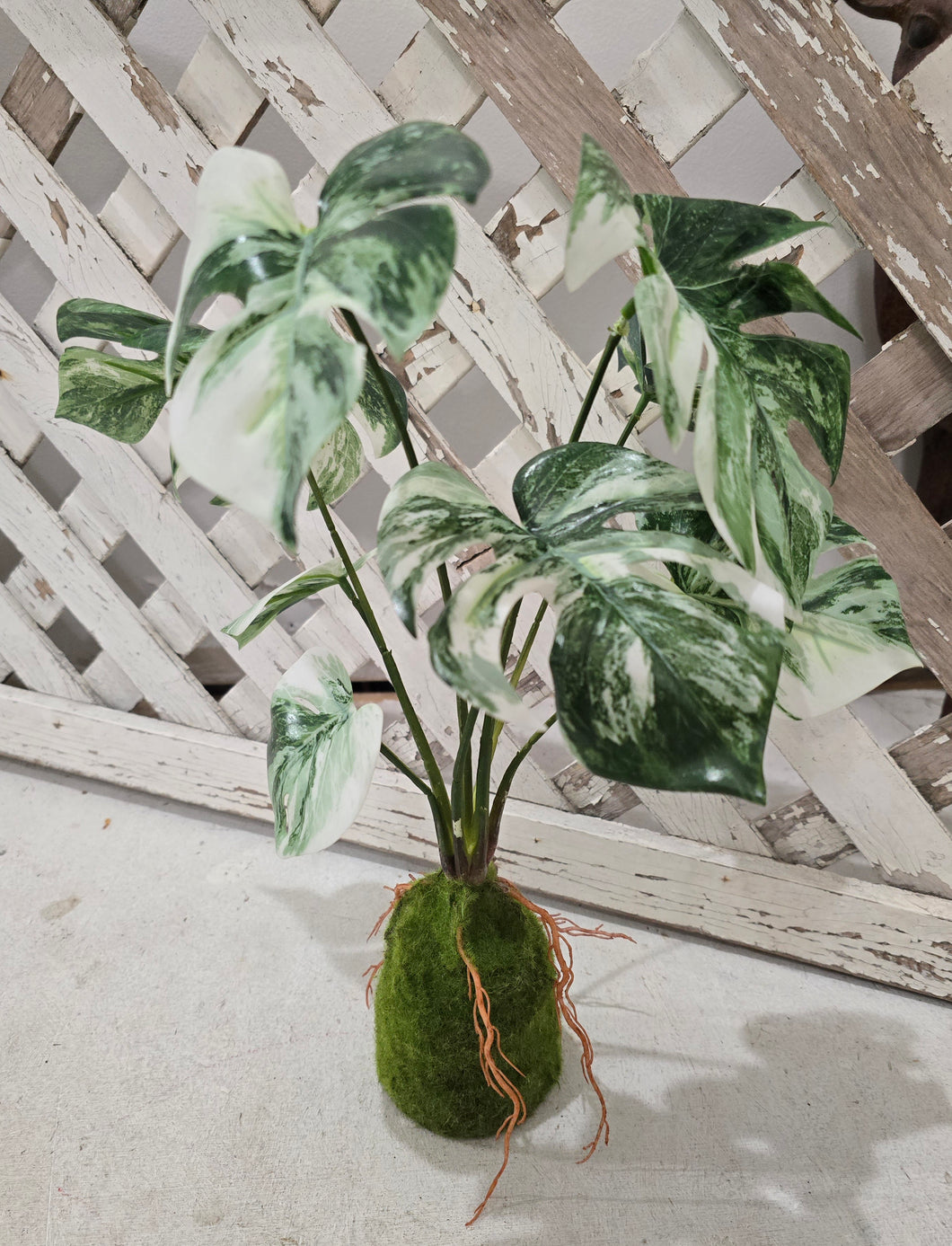 Faux Monstera Moss Ball Plant