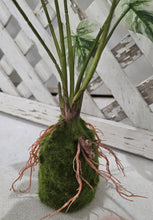 Load image into Gallery viewer, Faux Monstera Moss Ball Plant