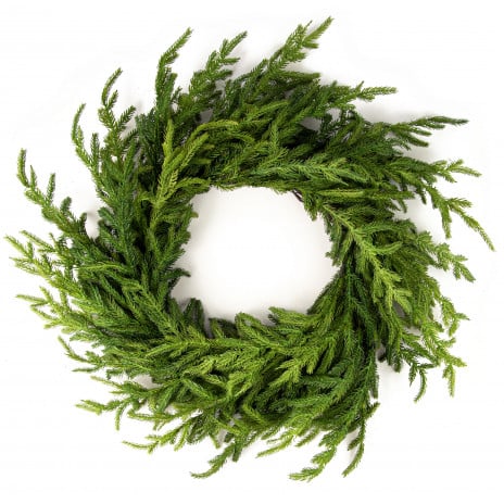 christmas norfolk pine wreath - 0