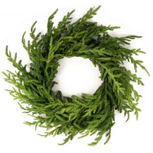 24" Christmas Norfolk Pine Wreath