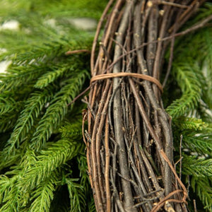 24" Christmas Norfolk Pine Wreath