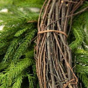 24" Christmas Norfolk Pine Wreath