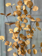 Load image into Gallery viewer, 34&quot; Mustard Yellow Penny Leaf Spray