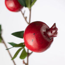 Load image into Gallery viewer, Red Pomegranate Stem ~ 35&quot;