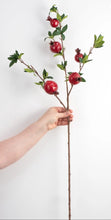 Load image into Gallery viewer, Red Pomegranate Stem ~ 35&quot;