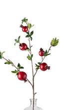 Load image into Gallery viewer, Red Pomegranate Stem ~ 35&quot;