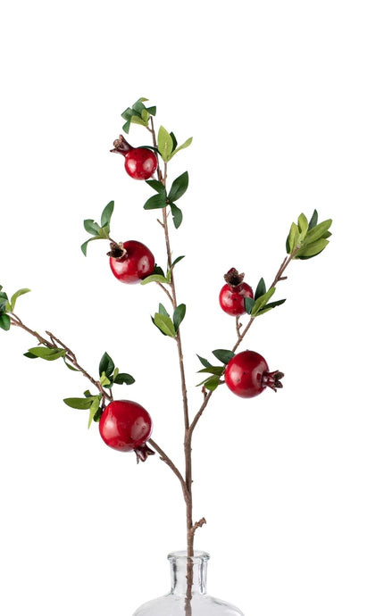 Red Pomegranate Stem ~ 35