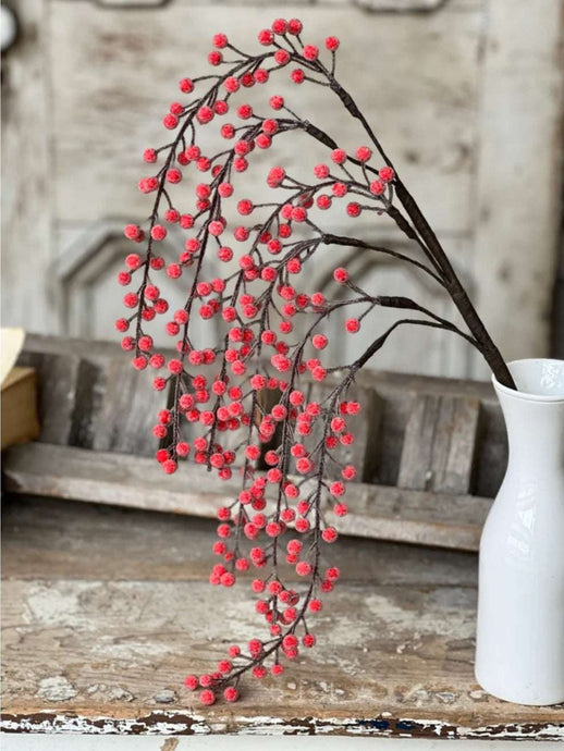 Christmas Resplendent Red Berries Hanging Branch