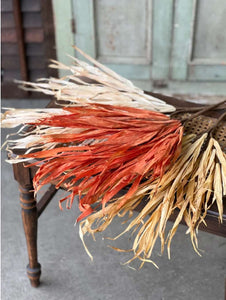 Fall Rye Grass ~ Cream