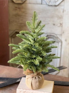 Christmas Shetland Spruce Tree 20"