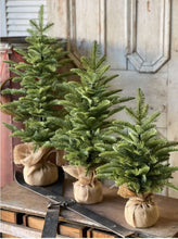 Load image into Gallery viewer, Christmas Shetland Spruce Tree 20&quot;