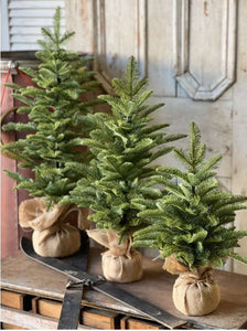 Christmas Shetland Spruce Tree 20"