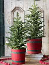Load image into Gallery viewer, Christmas Shetland Spruce Tree 20&quot;