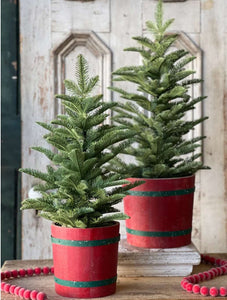 Christmas Shetland Spruce Tree 20"