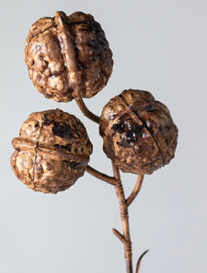 Walnut Stem 25"