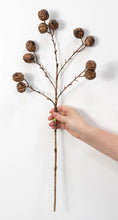 Load image into Gallery viewer, Walnut Stem 25&quot;